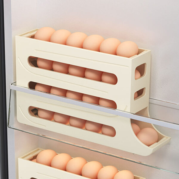 Four-Layer Egg